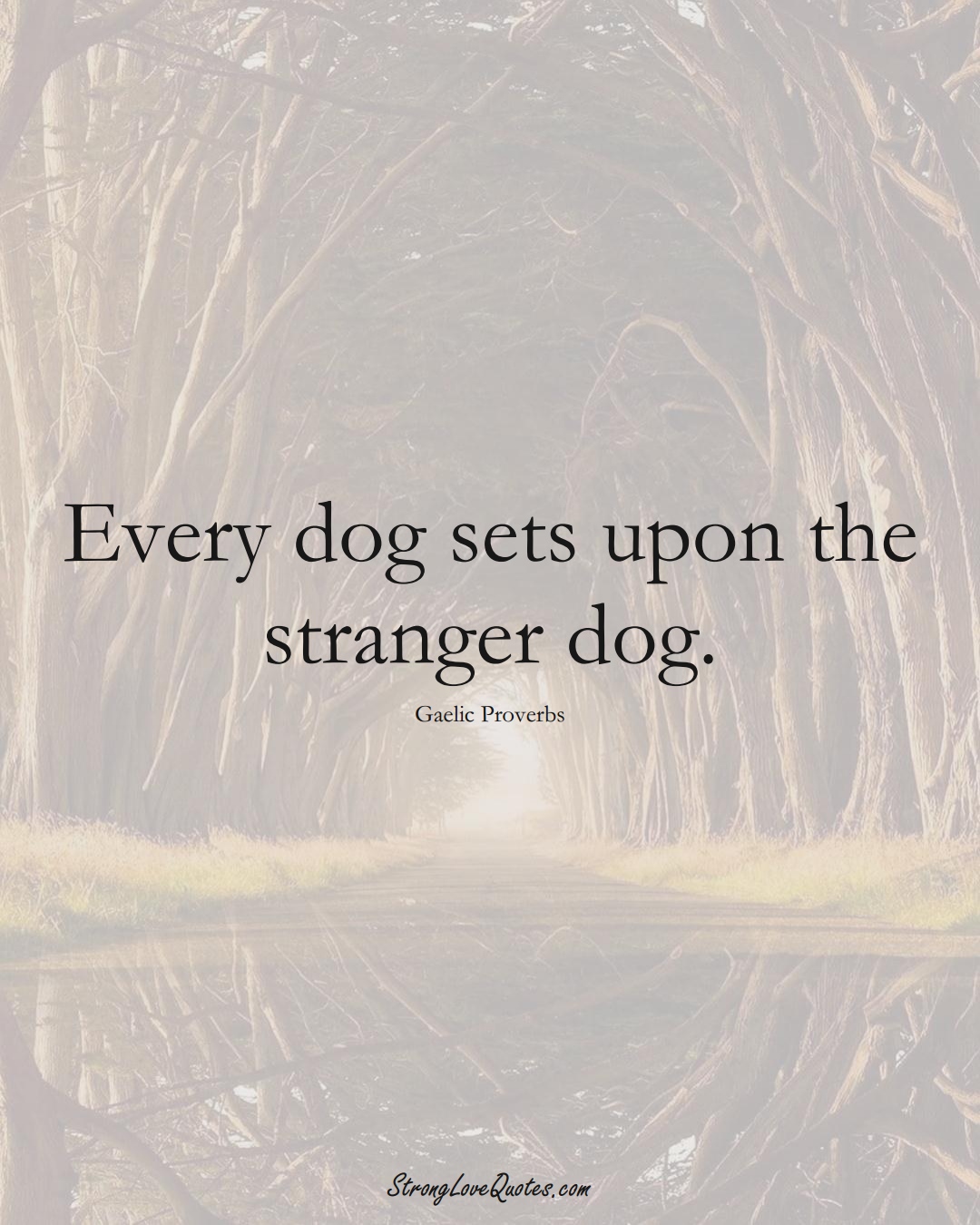 Every dog sets upon the stranger dog. (Gaelic Sayings);  #aVarietyofCulturesSayings