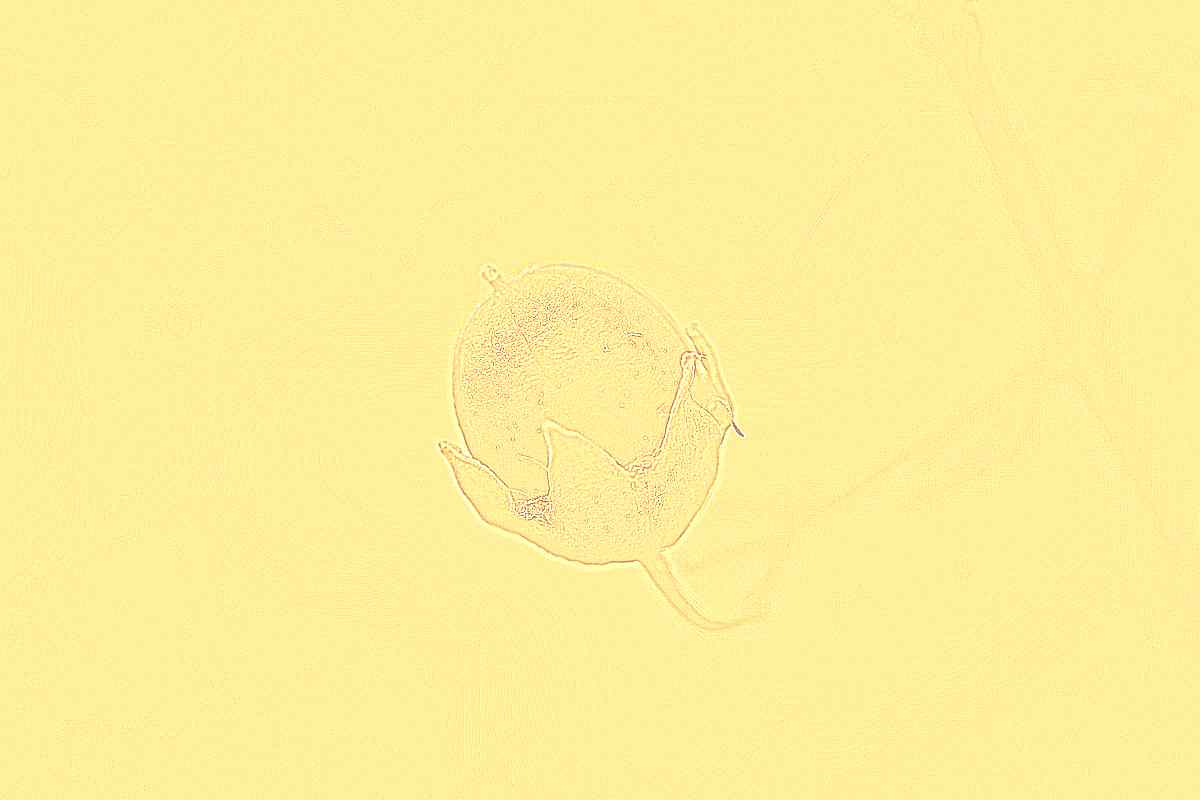 구례 화엄사 구례 화엄사