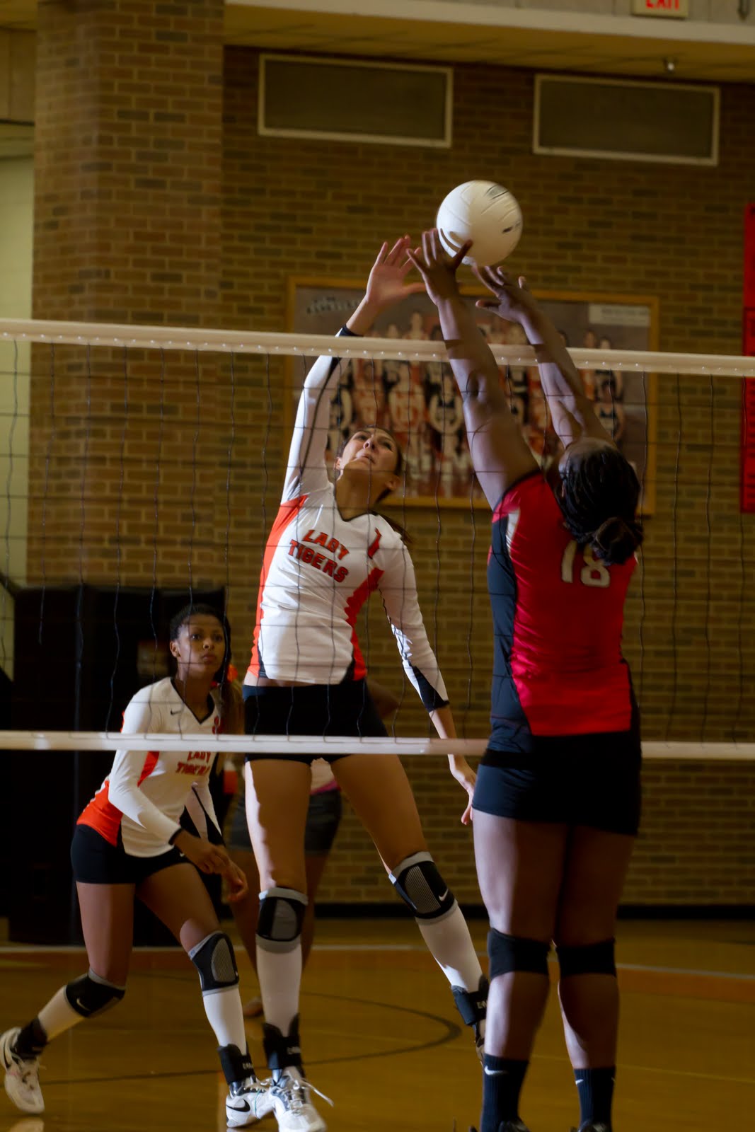 Taylor Marie Coleman Volleyball