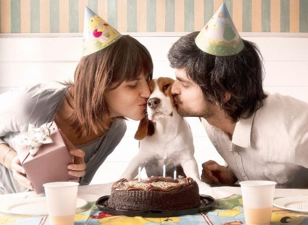 Event petting. День рождения для собаки идеи. Вечеринка собак. Собачья вечеринка. Вечеринка люди с собаками.
