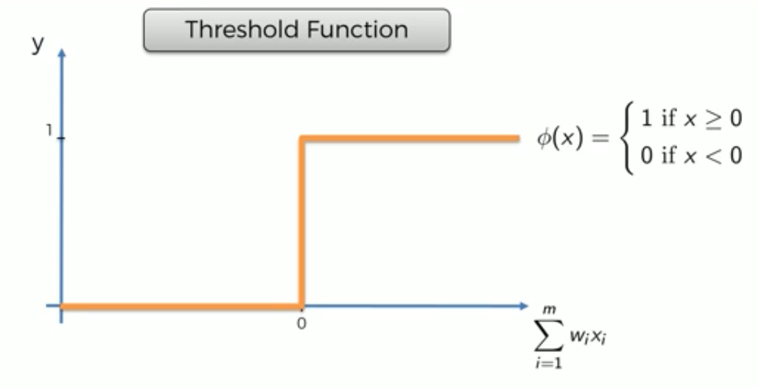 survival8 Activation Functions in Neural Networks