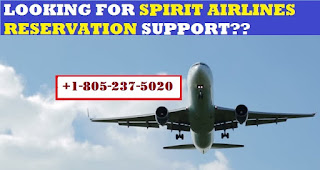 spirit airlines travel agent contact