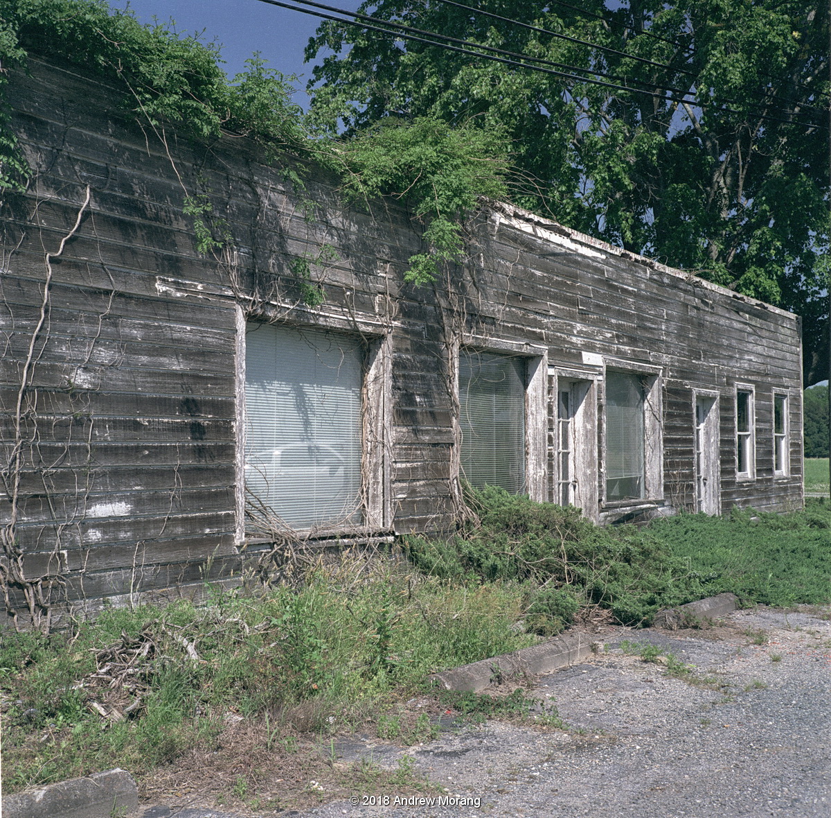 Urban Decay Historic Farms and Houses, Virginia's Northern Neck