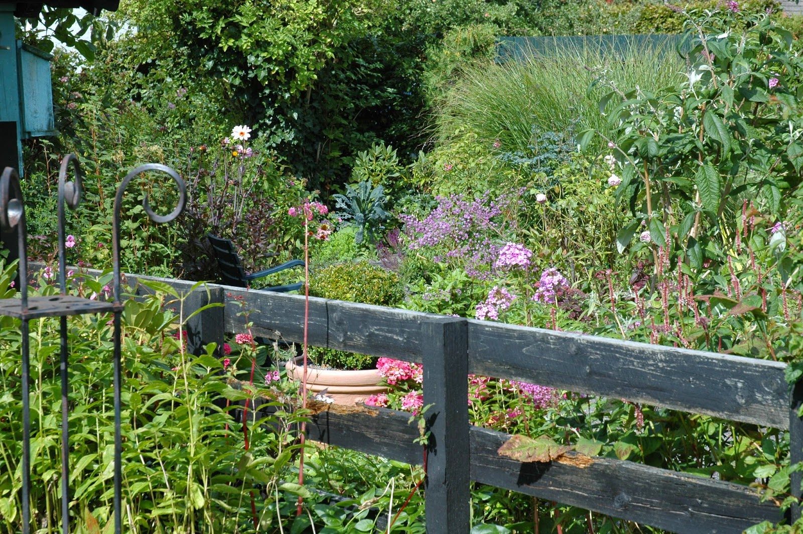 HAVETID Skønne Bornholm i sensommersol.