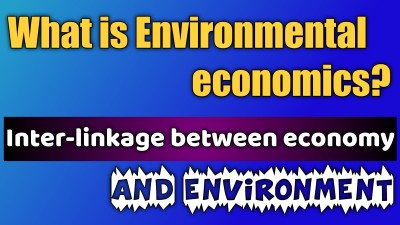What is environmental economics? environmental economics