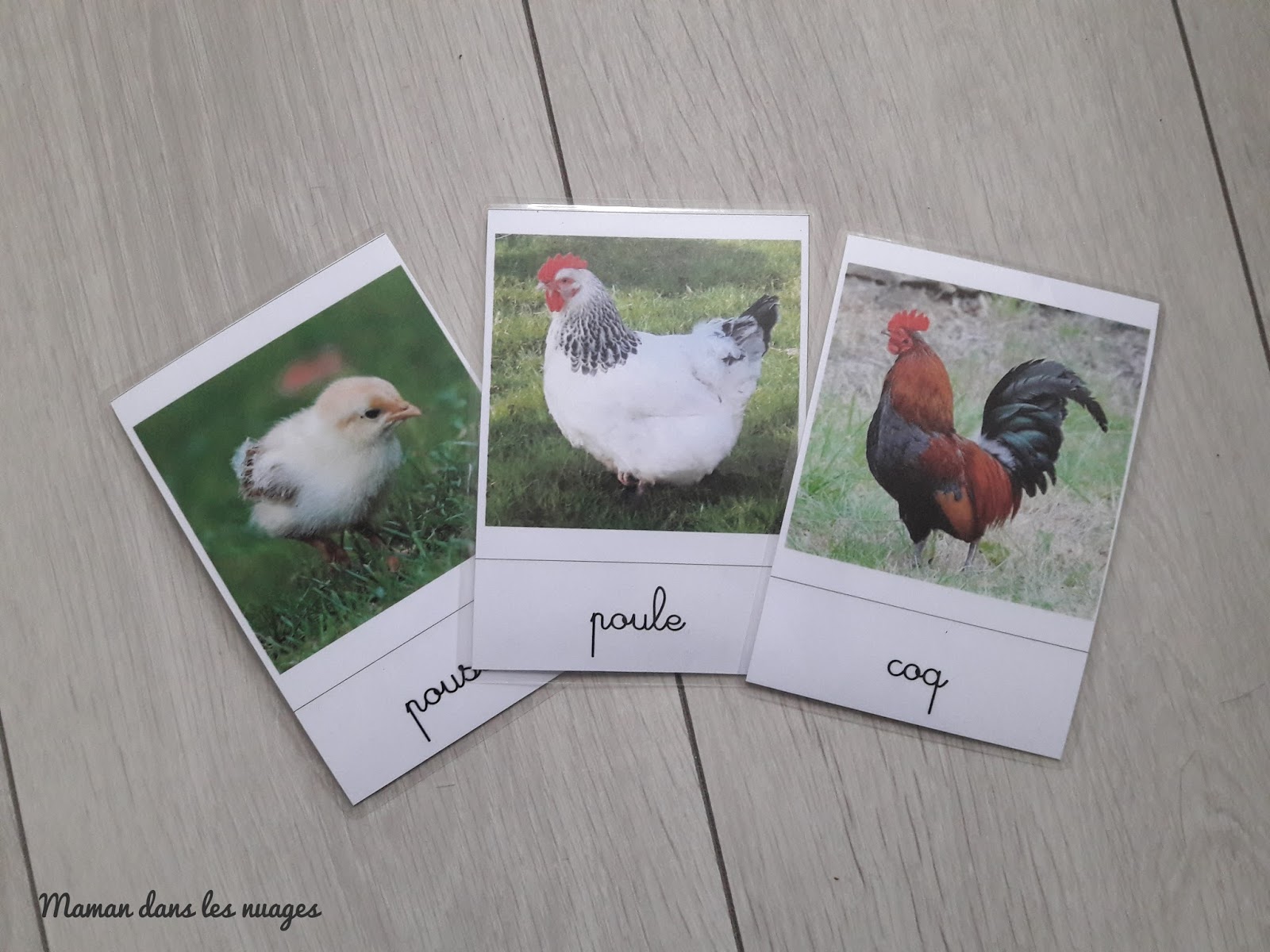 Cartes de nomenclatures des animaux de la ferme - La Pédagogie Montessori
