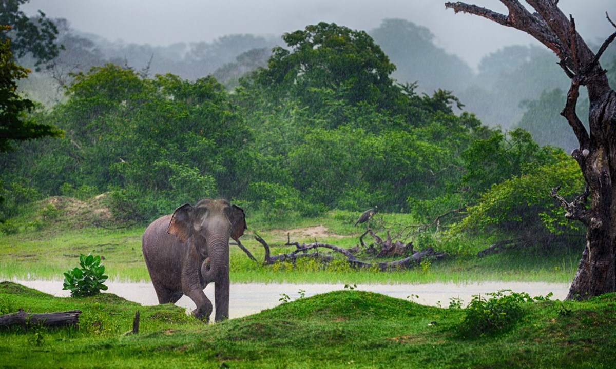 Srilanka The awesome languages of Sri Lanka