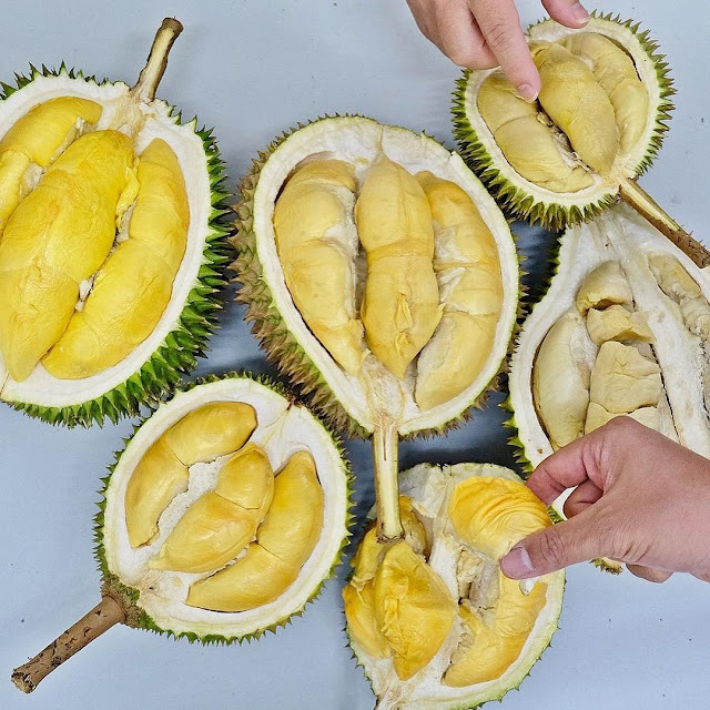 Musang King là gì?