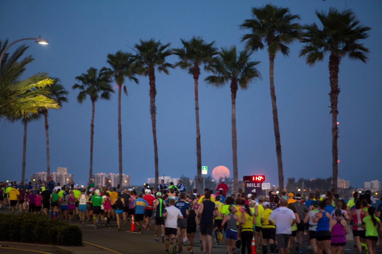 GIVEAWAY! First Watch Sarasota Half Marathon and Relay I Run For Wine