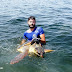 Τα “ταξίδια” των χελωνών του Αμβρακικού Κόλπου καταγράφει ο ΑΡΧΕΛΩΝ - Από την Πρέβεζα ως την Ιταλία και σ΄ ολόκληρη τη Μεσόγειο οι διαδρομές τους!