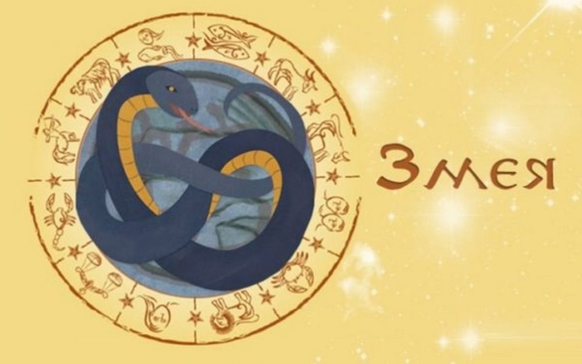 Рыба в год змеи. Знак зодиака змея. Восточный гороскоп змея. Знаки восточного гороскопа змея. Знак года змеи.