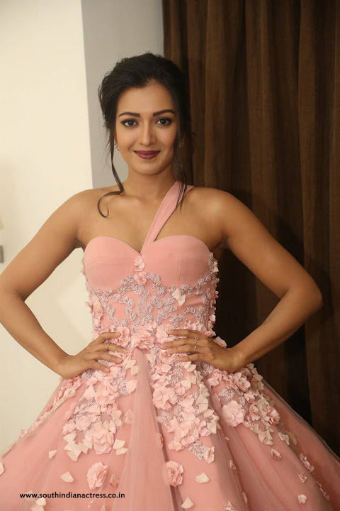Catherine Tresa Stills At 64th Filmfare Awards 2017