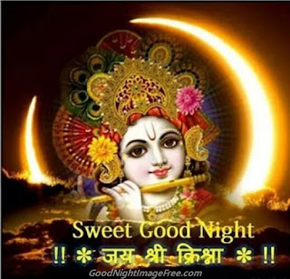 Good Night Radhe Krishna Photo