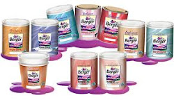 paints berger paint brands lead alarming levels found rediff