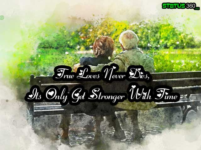 Best Status Of Love / Love Shayari & Quotes Best Status Of Love / Love Shayari & Quotes