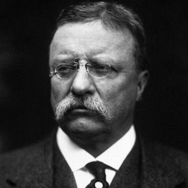 Theodore Roosevelt ~