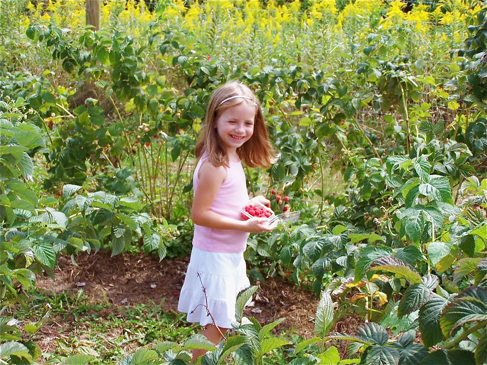 Eye on a Sparrow Touring An Organic Fruit Farm