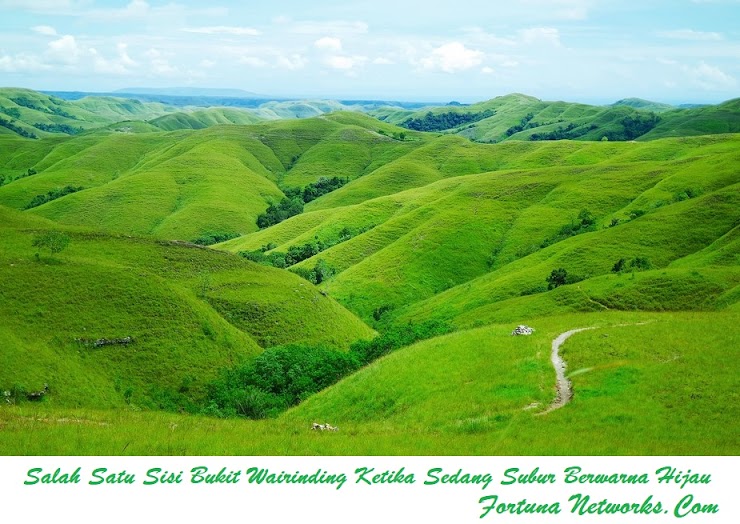 Bukit Wairinding Panorama Pesona Alam Perbukitan Dengan Lanskap
