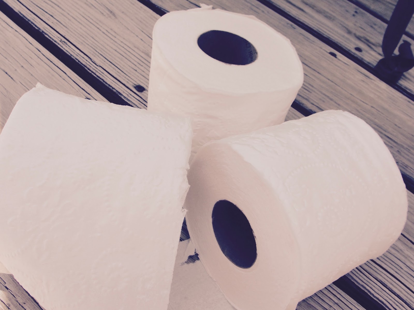 YOU SHOULD NEVER PUT TOILET PAPER ON A TOILET SEAT? IS THIS TRUE?