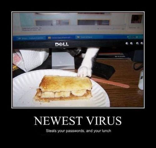 Newest Virus - Steals Your Passwords, And Your Lunch