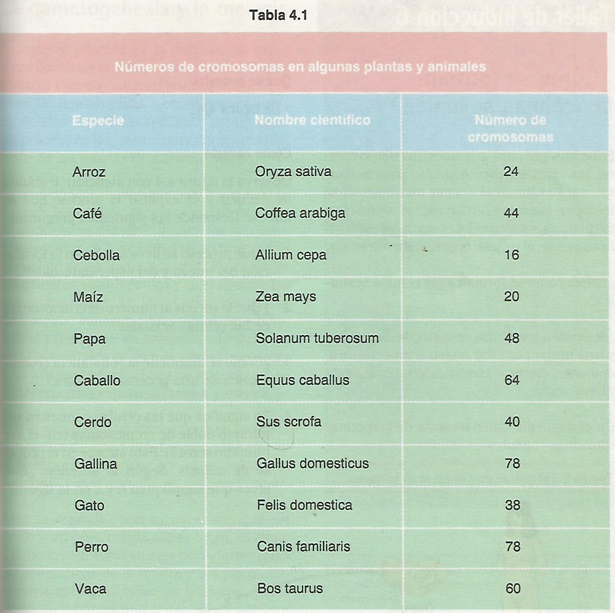 Quimica y Biologia Mitosis y meiosis