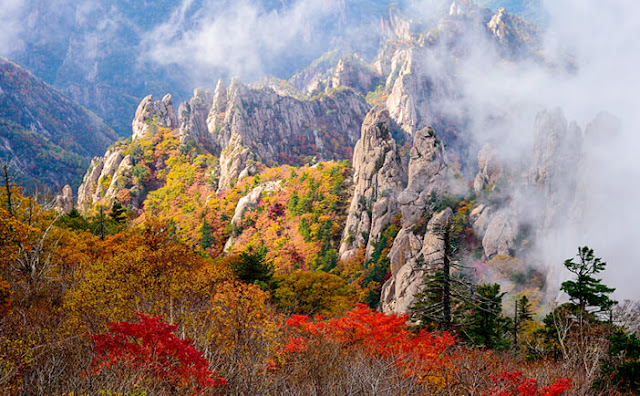 3-spot-terbaik-untuk-dikunjungi-pada-musim-gugur-di-korea
