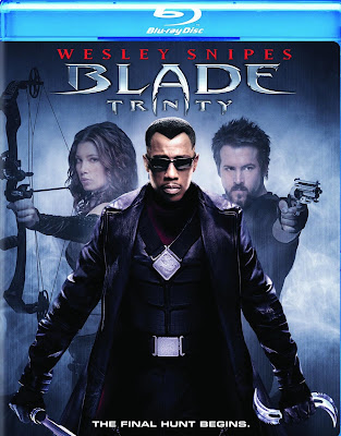 Blade: Trinity (2004) Dual Audio [Hindi 5.1ch – Eng 5.1ch] 720p | 480p BluRay ESub x264 1.1Gb | 400Mb