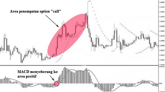 Binary options eur/usd strategy