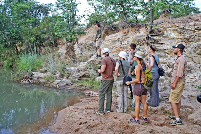 Walking African Safaris