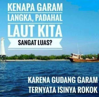 gambar lucu dan unik - kanalmu