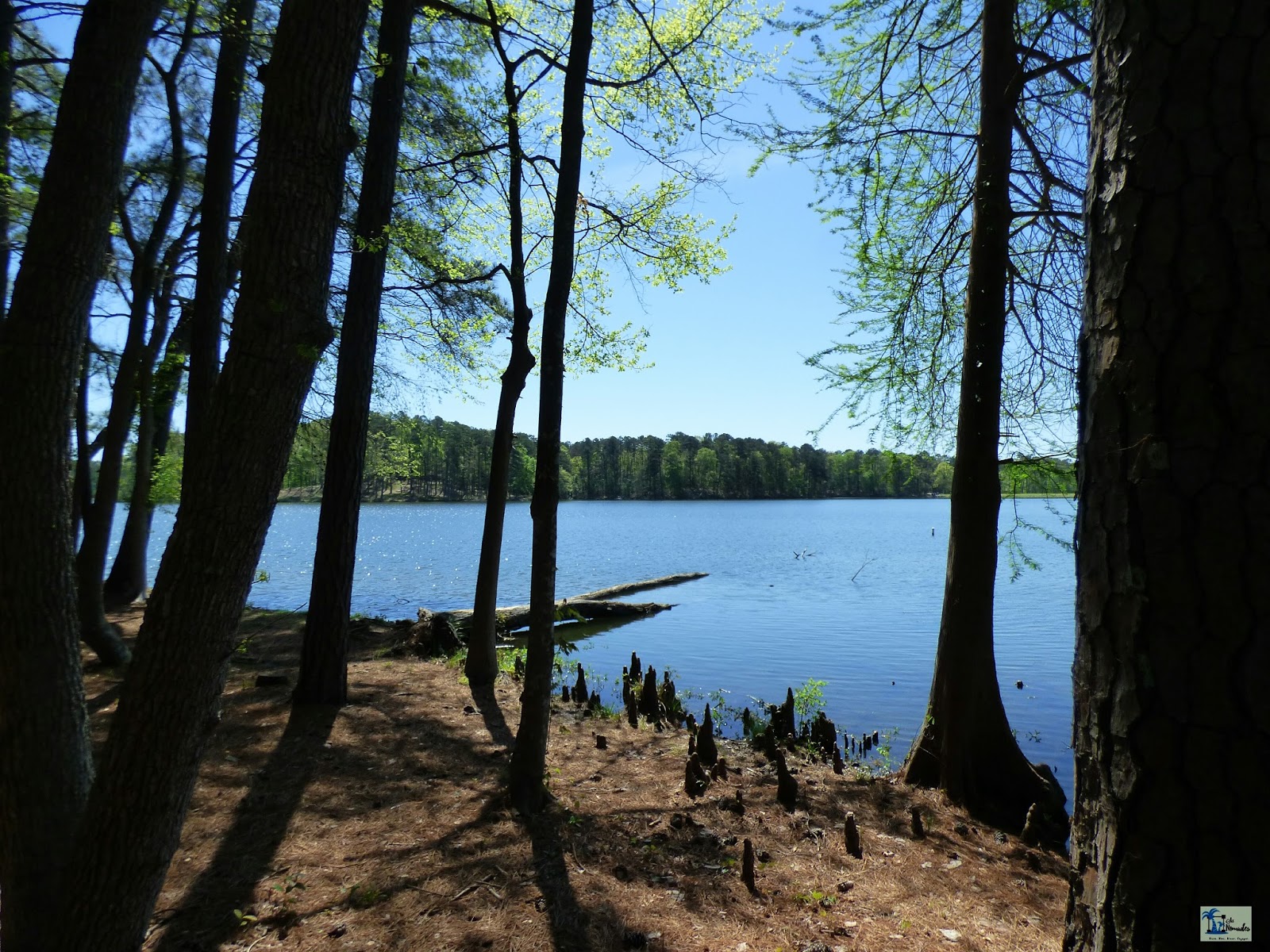 Six Nomades Morton Mississippi USA