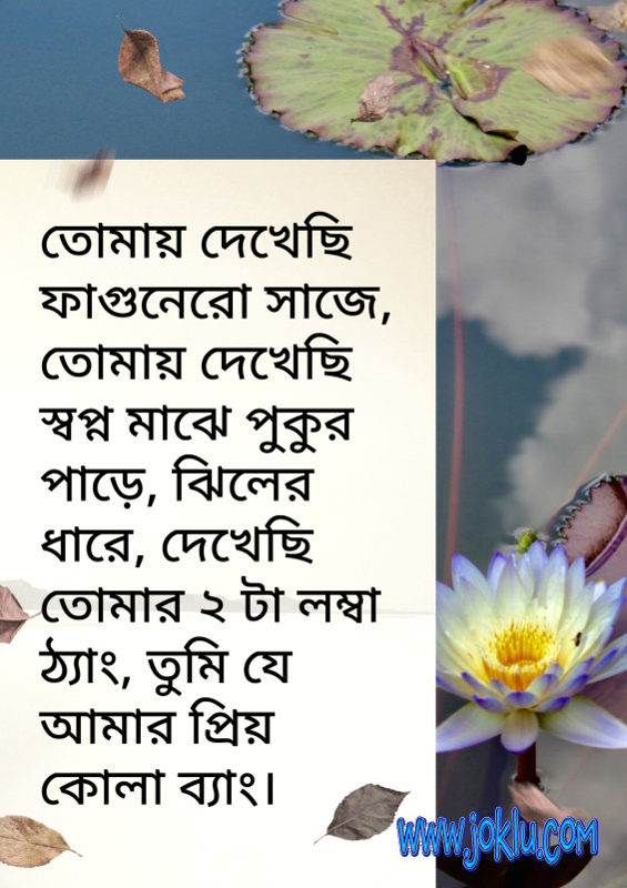 I saw you beside pond funny message in Bengali I saw you beside pond funny message in Bengali
