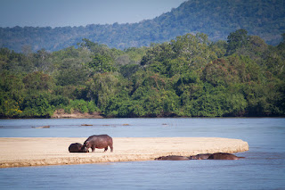 Tanzania Honeymoon river
