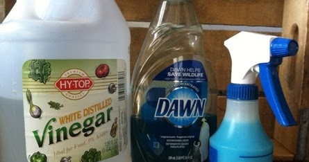 cleaning solution with dawn lemon juice and vinegar