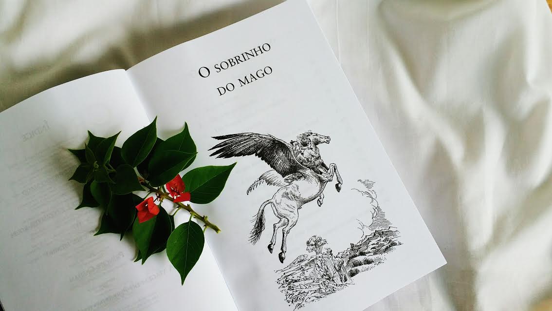 Literabujo Resenha O Sobrinho do Mago As Crônicas de Nárnia 1