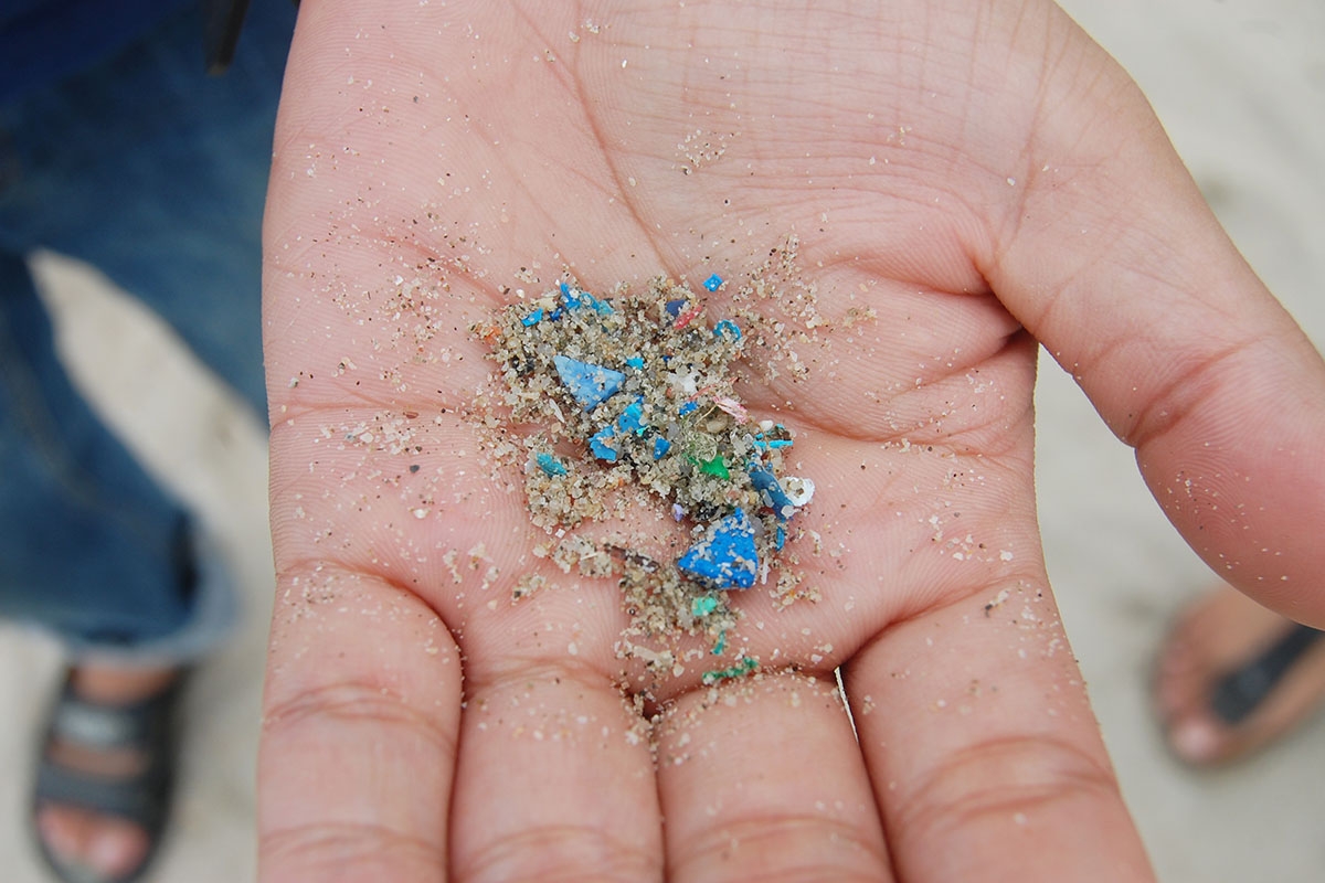 Blue Green Conservation Microplastics They're Everywhere