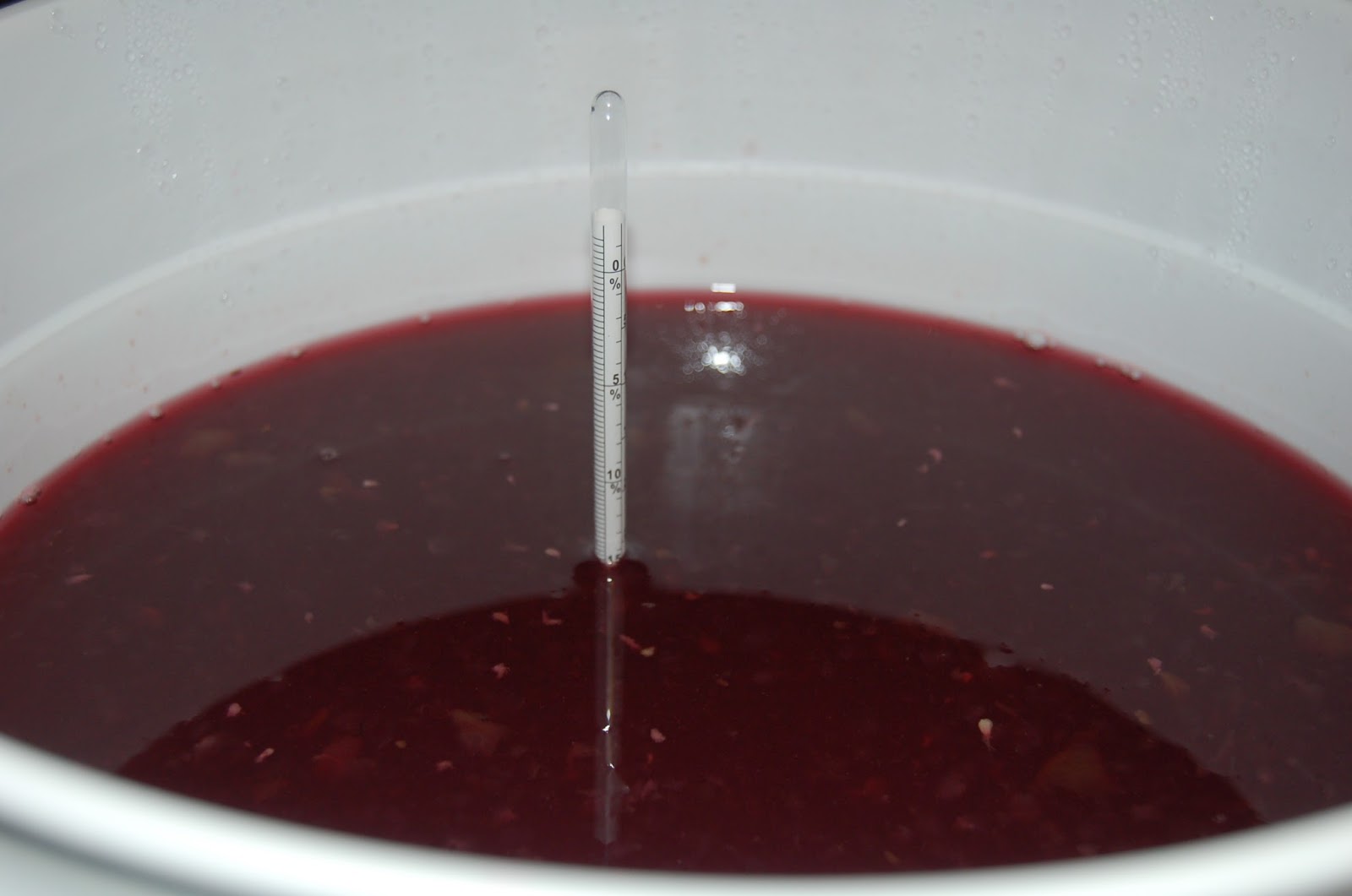 Our Little Backyard Farm Making Homemade Concord Grape Wine
