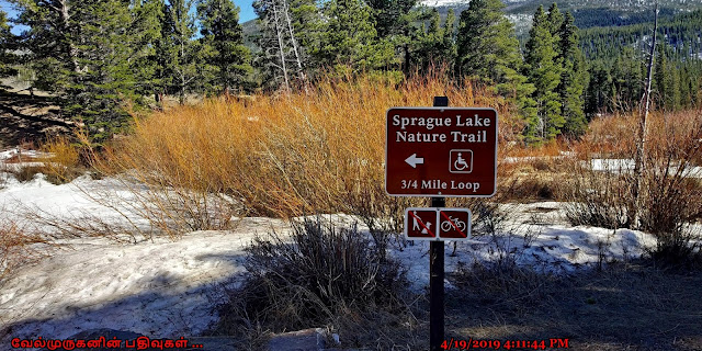 Sprague Lake Nature Trail