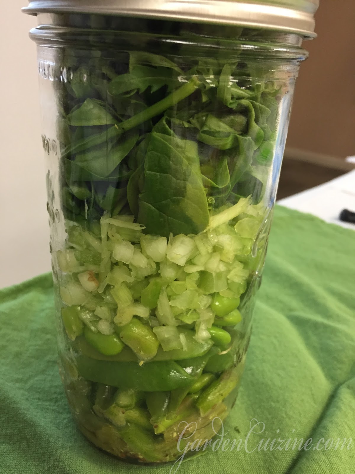 GardenCuizine: What in the world are these ginormous green