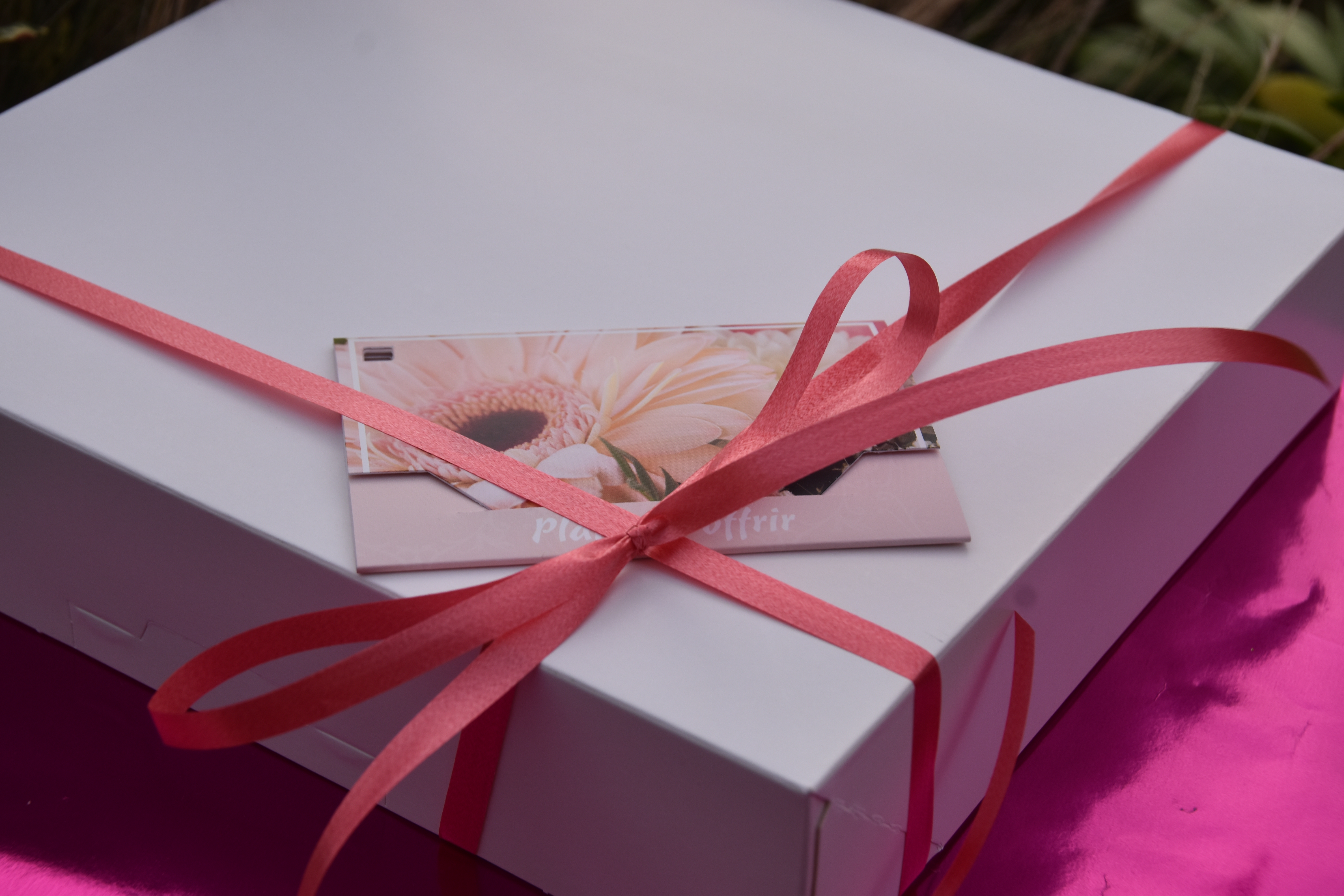 L’attribut alt de cette image est vide, son nom de fichier est DSC_0632.JPG.