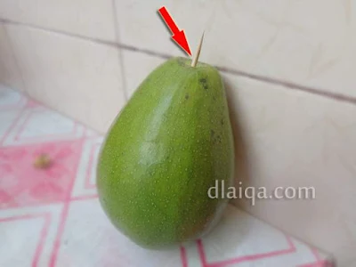 masukkan tusuk gigi dari bagian bekas tangkai buah