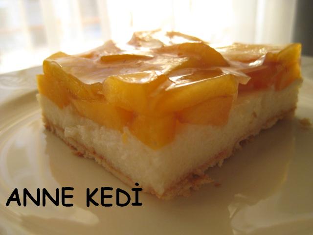 ANNE KEDİ Meyveli İrmik Pastası