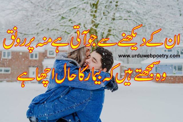 View Mirza Ghalib Poetry In Urdu 2 Lines PNG