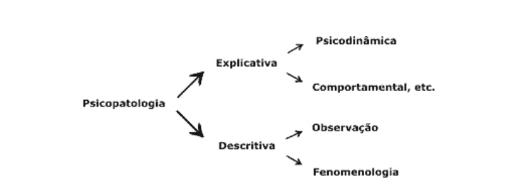 Psicopatologia Dinamica E Relazione Clinica Nell'età Evolutiva E Nell'adulto APRENDER PARA ENSINAR : Psicopatologia: Definições, Conceitos, Teorias