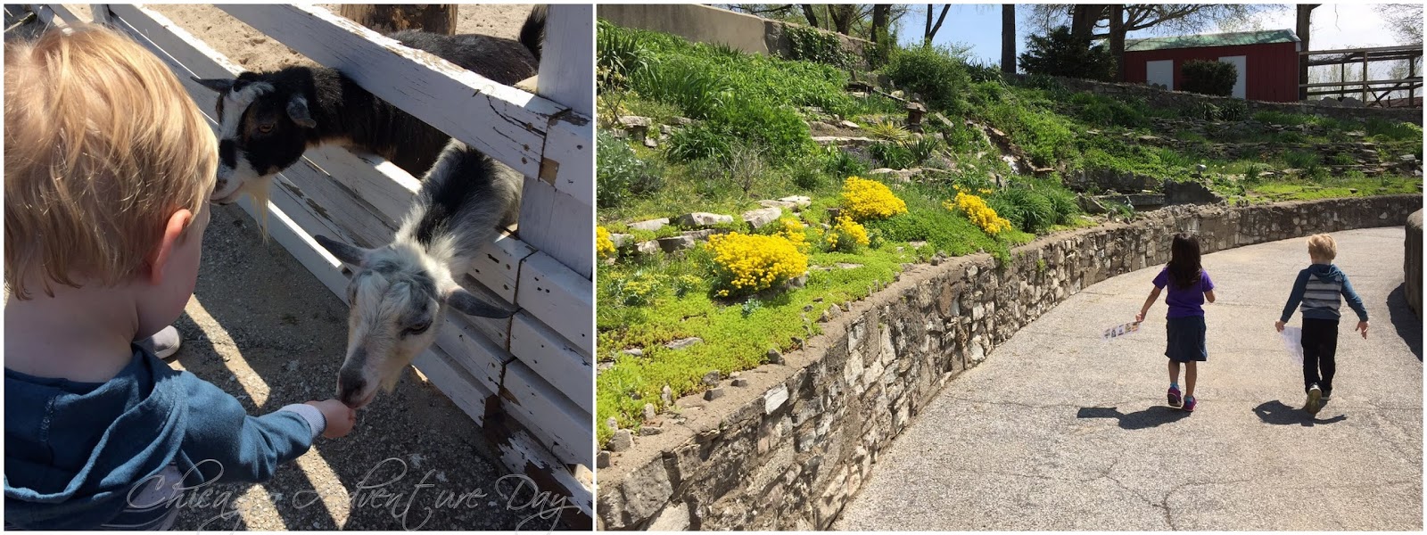 Chicago Adventure Day Road Trip Washington Park Zoo (Michigan City, IN)