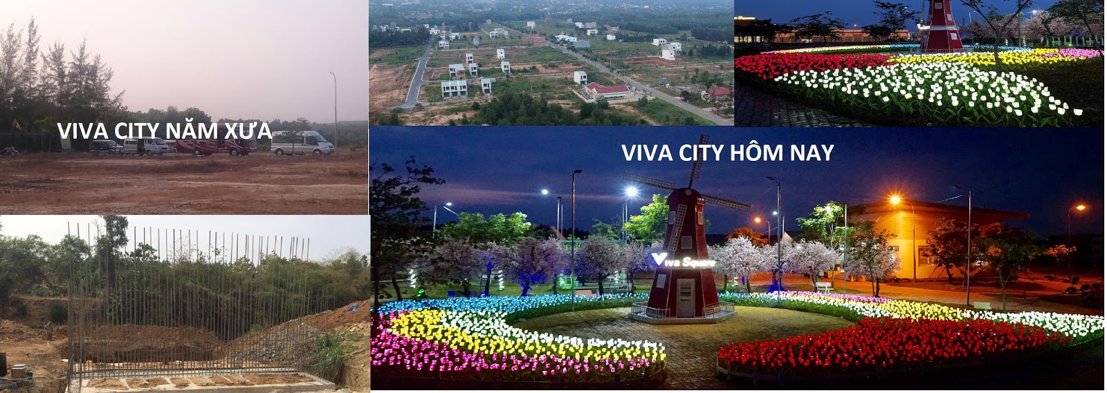 the viva city 2019