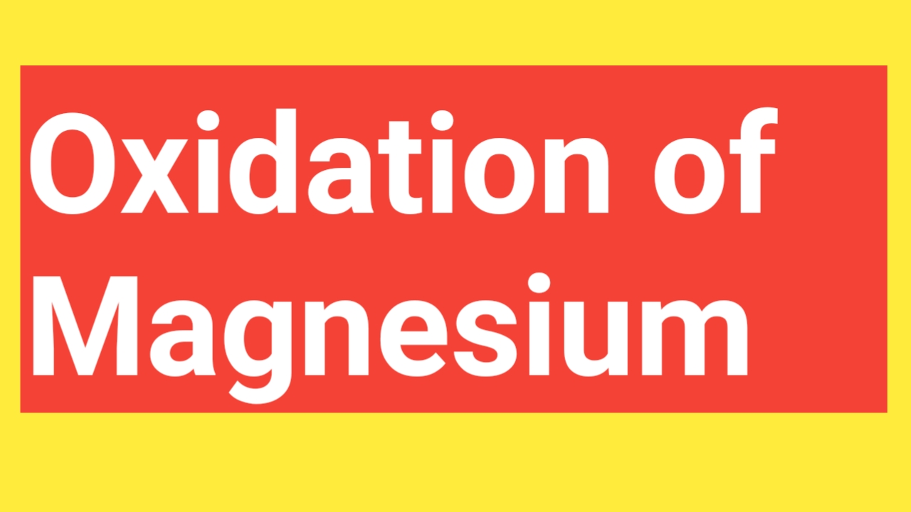 Oxidation of Magnesium (Mg) What Is the Oxidation State of Magnesium?