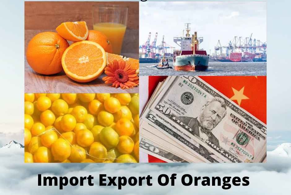 Top Importers and Exporters Of Oranges