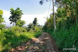 situs makam jerman arca domas bogor