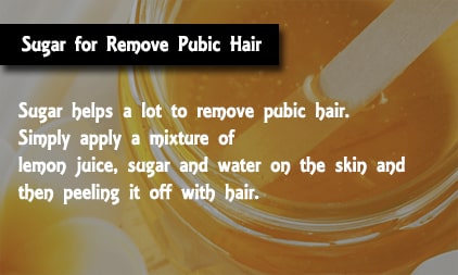 Sugar for Remove Pubic Hair